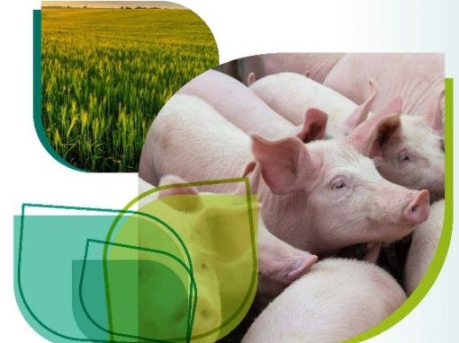 La gestió dels nutrients des de la granja al camp PRO-FEM Agriclose 2022 / Jornada de referència